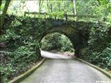 Rio Camuy Cave Park - CAMUY
